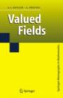Valued Fields - eBook