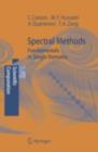 Spectral Methods : Fundamentals in Single Domains - eBook