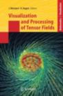 Visualization and Processing of Tensor Fields - eBook