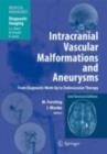 Intracranial Vascular Malformations and Aneurysms : From Diagnostic Work-Up to Endovascular Therapy - eBook