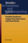 Flexible Databases Supporting Imprecision and Uncertainty - eBook