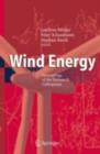 Wind Energy : Proceedings of the Euromech Colloquium - eBook