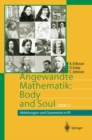 Angewandte Mathematik: Body and Soul : Band 1: Ableitungen und Geometrie in IR3 - eBook