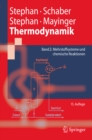 Thermodynamik - Grundlagen und technische Anwendungen : Band 2: Mehrstoffsysteme und chemische Reaktionen - eBook