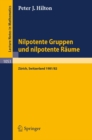 Nilpotente Gruppen und nilpotente Raume : Nachdiplomvorlesung gehalten am Mathematik-Departement ETH Zurich 1981/82 - eBook