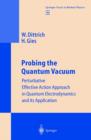 Probing the Quantum Vacuum : Perturbative Effective Action Approach in Quantum Electrodynamics and its Application - eBook