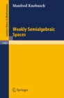 Weakly Semialgebraic Spaces - eBook