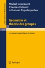 Geometrie et theorie des groupes : Les groupes hyperboliques de Gromov - eBook
