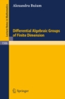 Differential Algebraic Groups of Finite Dimension - eBook