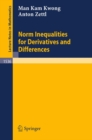 Norm Inequalities for Derivatives and Differences - eBook