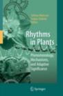 Rhythms in Plants : Phenomenology, Mechanisms, and Adaptive Significance - eBook