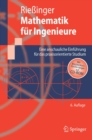 Mathematik fur Ingenieure : Eine anschauliche Einfuhrung fur das praxisorientierte Studium - eBook