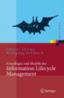 Grundlagen und Modelle des Information Lifecycle Management - eBook
