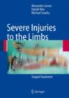 Severe Injuries to the Limbs : Staged Treatment - eBook