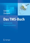 Das TMS-Buch : Handbuch der transkraniellen Magnetstimulation - eBook