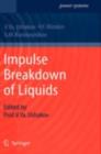 Impulse Breakdown of Liquids - eBook