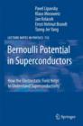 Bernoulli Potential in Superconductors : How the Electrostatic Field Helps to Understand Superconductivity - eBook