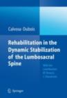 Rehabilitation in the dynamic stabilization of the lumbosacral spine - eBook