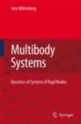 Dynamics of Multibody Systems - eBook