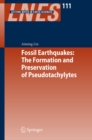 Fossil Earthquakes: The Formation and Preservation of Pseudotachylytes - eBook