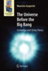 The Universe Before the Big Bang : Cosmology and String Theory - eBook