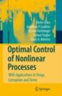 Optimal Control of Nonlinear Processes : With Applications in Drugs, Corruption, and Terror - eBook