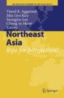 Northeast Asia : Ripe for Integration? - eBook