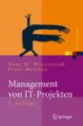 Management von IT-Projekten : Von der Planung zur Realisierung - eBook