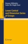 Lower Central and Dimension Series of Groups - eBook