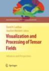 Visualization and Processing of Tensor Fields : Advances and Perspectives - eBook