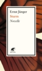 Sturm : Novelle - eBook