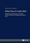 What Does It Look Like? : Wittgenstein's Philosophy in the Light of His Conception of Language Description: Part I - eBook