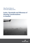 Scales, Thresholds And Dilemmas Of Housing Transformations In Istanbul - eBook