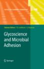Glycoscience and Microbial Adhesion - eBook