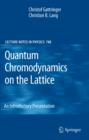Quantum Chromodynamics on the Lattice : An Introductory Presentation - eBook