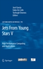 Jets From Young Stars V : High Performance Computing and Applications - eBook