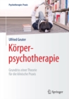 Korperpsychotherapie : Grundriss einer Theorie fur die klinische Praxis - eBook