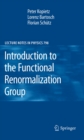 Introduction to the Functional Renormalization Group - eBook