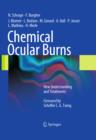 Chemical Ocular Burns : New Understanding and Treatments - eBook