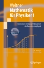 Mathematik fur Physiker 1 : Basiswissen fur das Grundstudium der Experimentalphysik - eBook