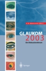 Glaukom 2003 : Ein Diskussionsforum - eBook