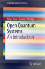 Open Quantum Systems : An Introduction - eBook