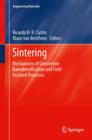 Sintering : Mechanisms of Convention Nanodensification and Field Assisted Processes - eBook