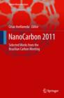 NanoCarbon 2011 : Selected works from the Brazilian Carbon Meeting - eBook