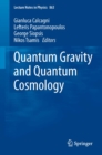 Quantum Gravity and Quantum Cosmology - eBook
