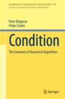 Condition : The Geometry of Numerical Algorithms - eBook