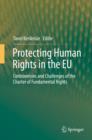 Protecting Human Rights in the EU : Controversies and Challenges of the Charter of Fundamental Rights - eBook