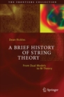 A Brief History of String Theory : From Dual Models to M-Theory - eBook