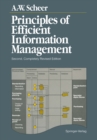 Principles of Efficient Information Management - eBook