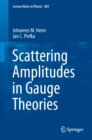 Scattering Amplitudes in Gauge Theories - eBook